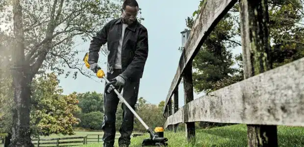 Best Cordless Weed Eater